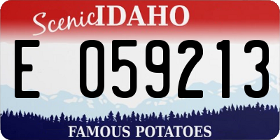 ID license plate E059213