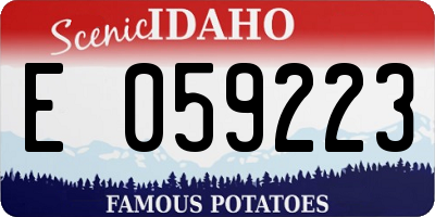 ID license plate E059223