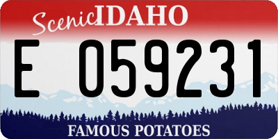 ID license plate E059231