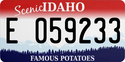 ID license plate E059233