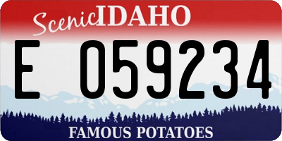 ID license plate E059234