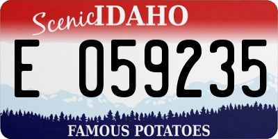 ID license plate E059235