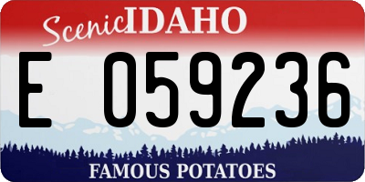 ID license plate E059236