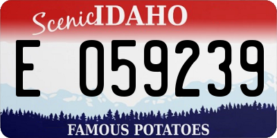 ID license plate E059239