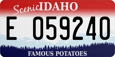 ID license plate E059240