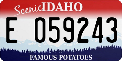 ID license plate E059243