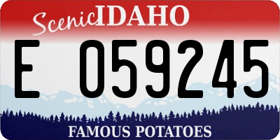 ID license plate E059245