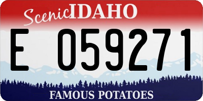 ID license plate E059271