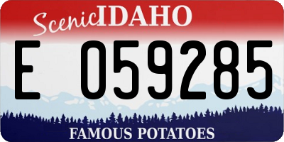 ID license plate E059285