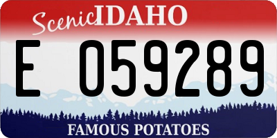 ID license plate E059289