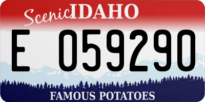 ID license plate E059290