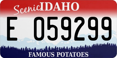 ID license plate E059299