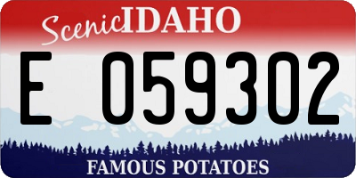 ID license plate E059302