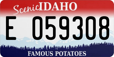 ID license plate E059308