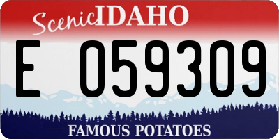 ID license plate E059309