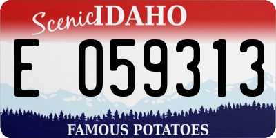 ID license plate E059313