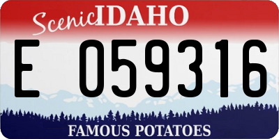 ID license plate E059316
