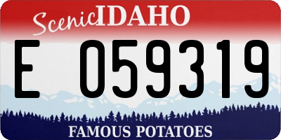 ID license plate E059319