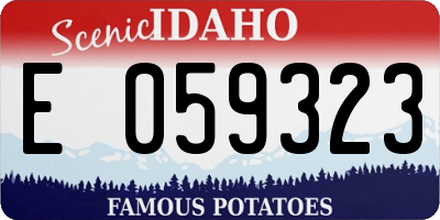 ID license plate E059323