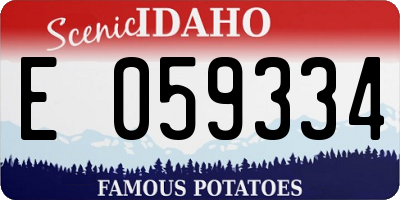 ID license plate E059334