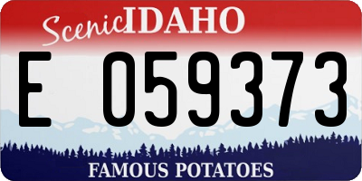 ID license plate E059373