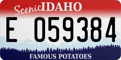ID license plate E059384