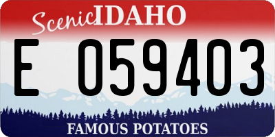 ID license plate E059403