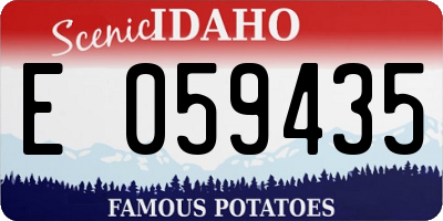 ID license plate E059435