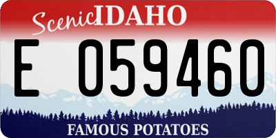 ID license plate E059460