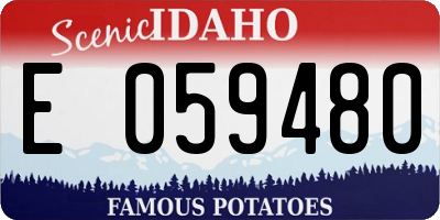 ID license plate E059480