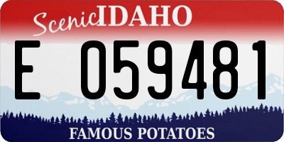 ID license plate E059481