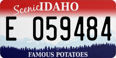 ID license plate E059484