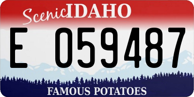 ID license plate E059487