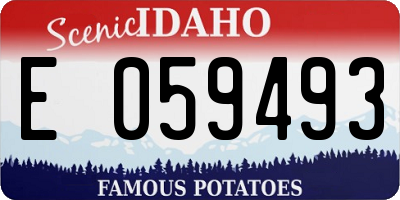 ID license plate E059493
