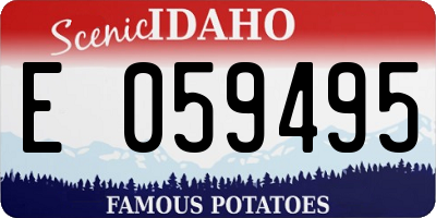 ID license plate E059495