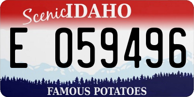 ID license plate E059496