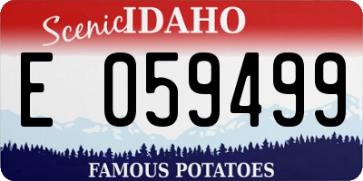 ID license plate E059499