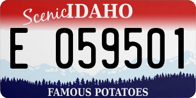 ID license plate E059501
