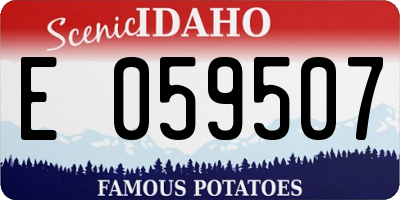 ID license plate E059507