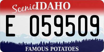 ID license plate E059509