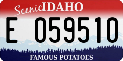 ID license plate E059510
