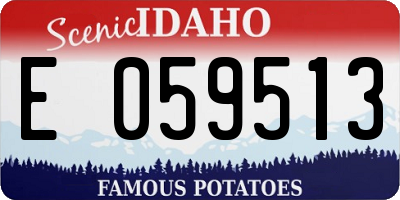 ID license plate E059513