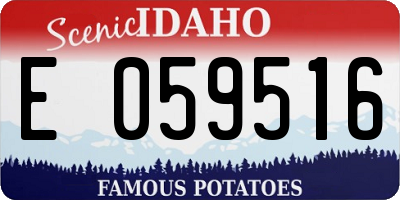 ID license plate E059516