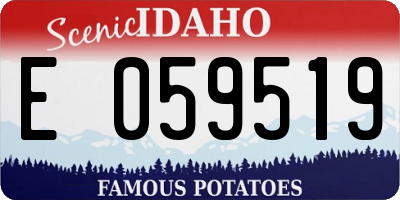 ID license plate E059519