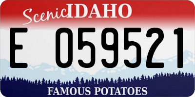ID license plate E059521