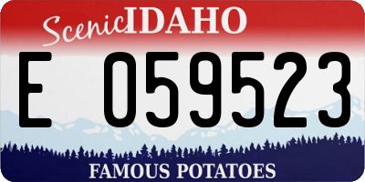 ID license plate E059523