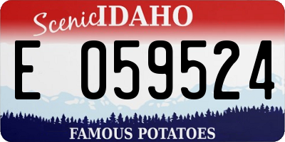 ID license plate E059524