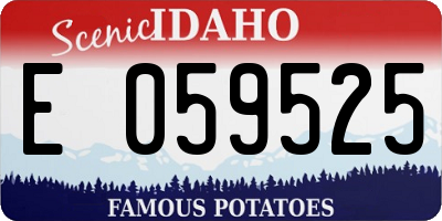 ID license plate E059525