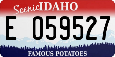 ID license plate E059527