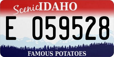 ID license plate E059528